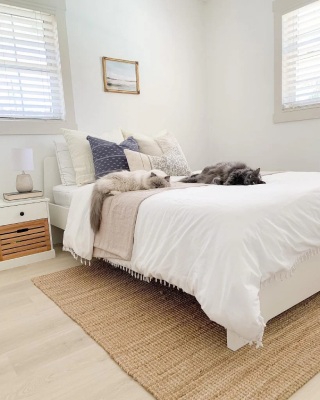 RugsUSA  Guide to Natural Fiber Rugs