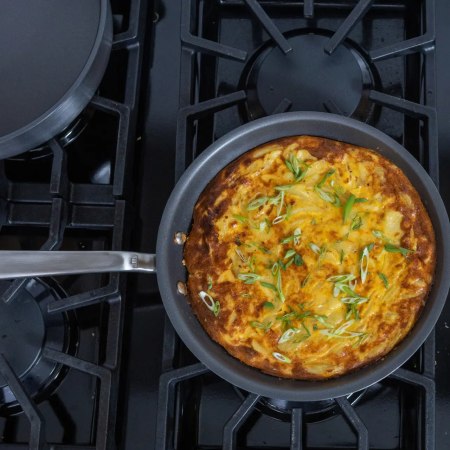 Made In ProCoat Non Stick Frying Pan